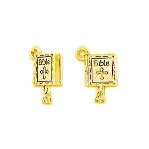 Bible Plated Gold Charms - C070G