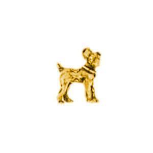 Jack Russell Dog Gold Plated Charms - C098G