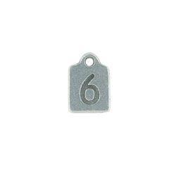 Number 6 Charms