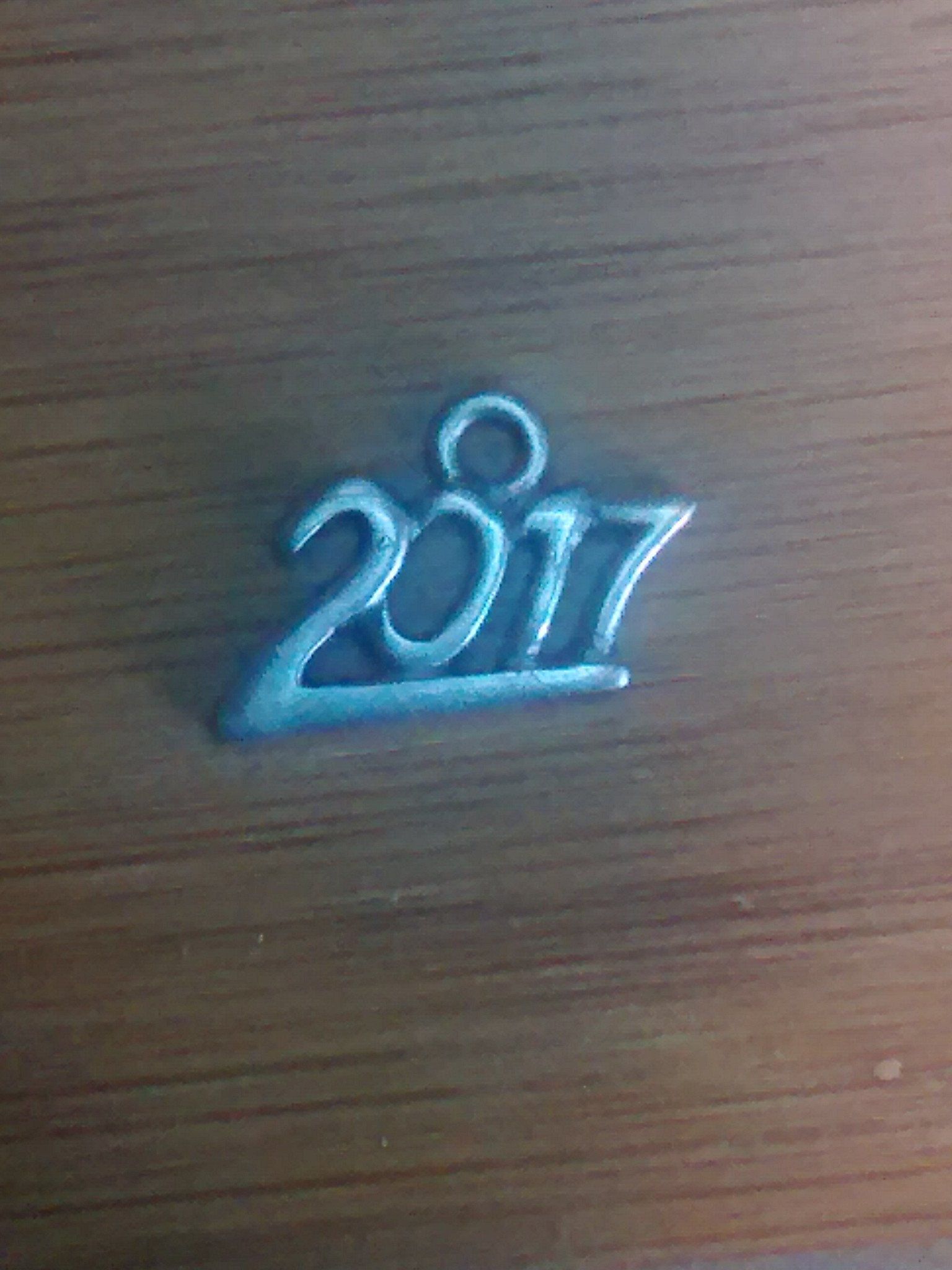 Silver 2017 Charms-Watchus