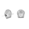 Silver Scallop Shell Bead-Watchus